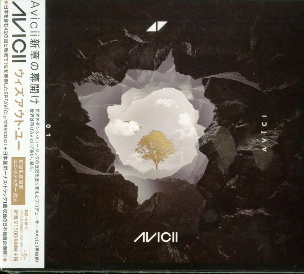01 Avici
