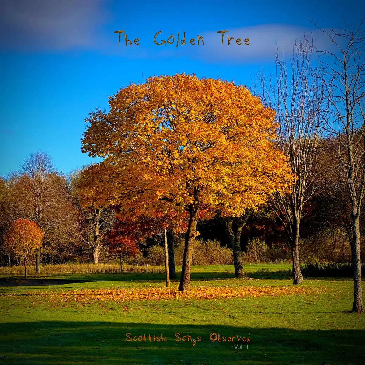 ...Presents Scottish Songs Observed