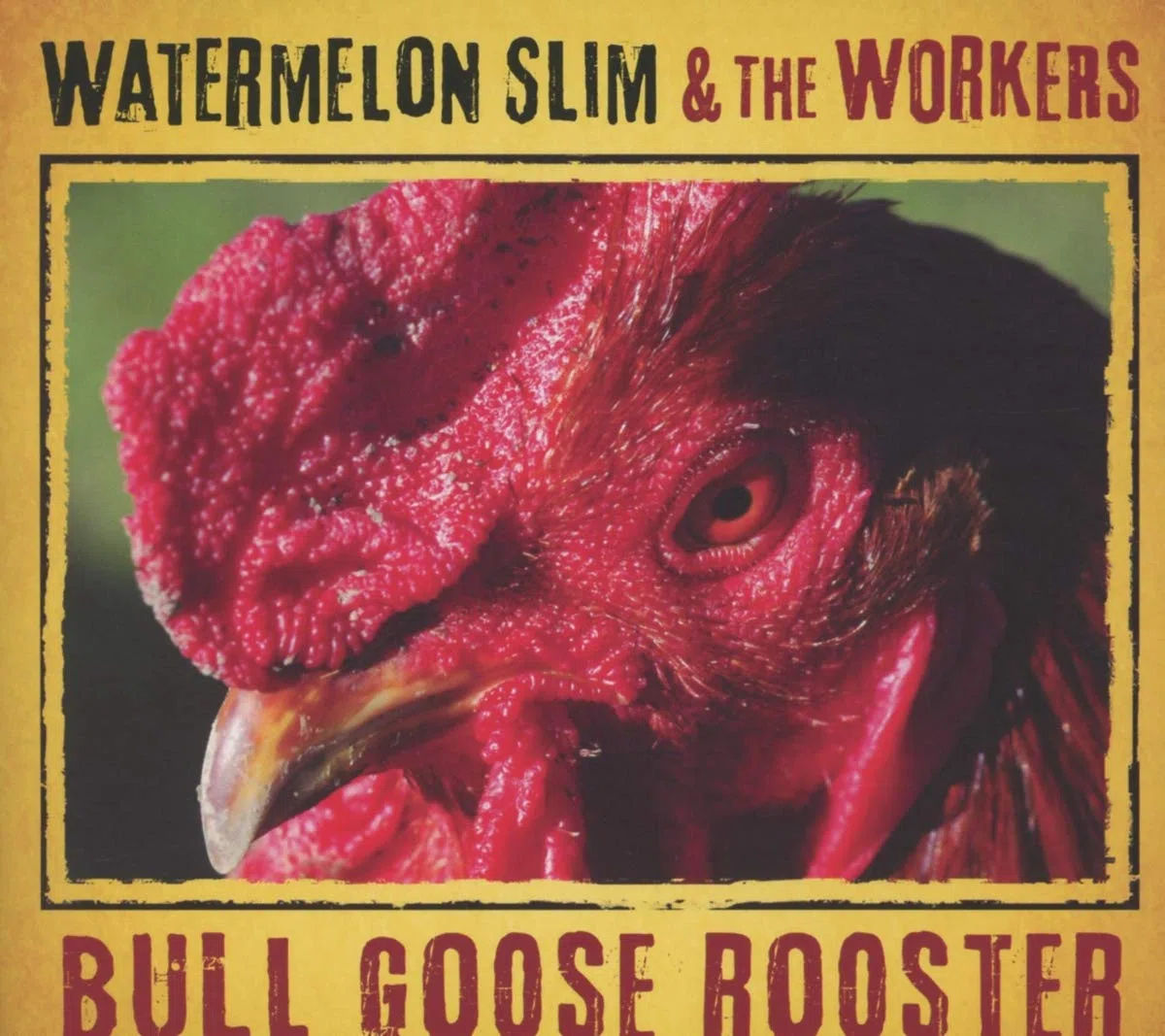 Bull Goose Rooster